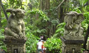 ¿Qué ver en Bali? Monkey Forest
