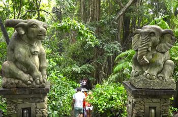 ¿Qué ver en Bali? Monkey Forest