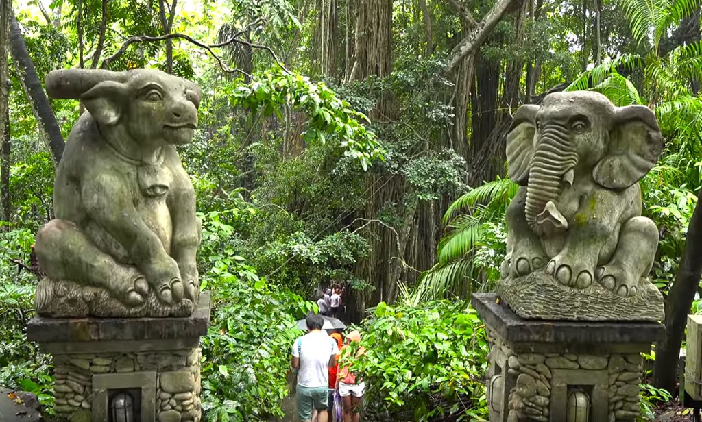 ¿Qué ver en Bali? Monkey Forest