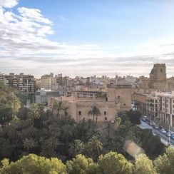 Elche, la ciudad de las palmeras