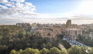 Elche, la ciudad de las palmeras