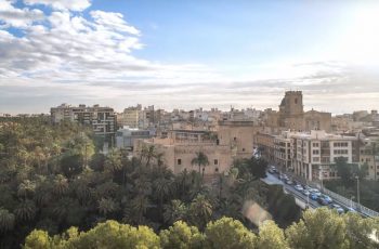 Elche, la ciudad de las palmeras