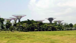 Gardens by the Bay en Singapur